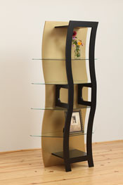 Inventra-Display-Case,-Contemporary-Bookcase